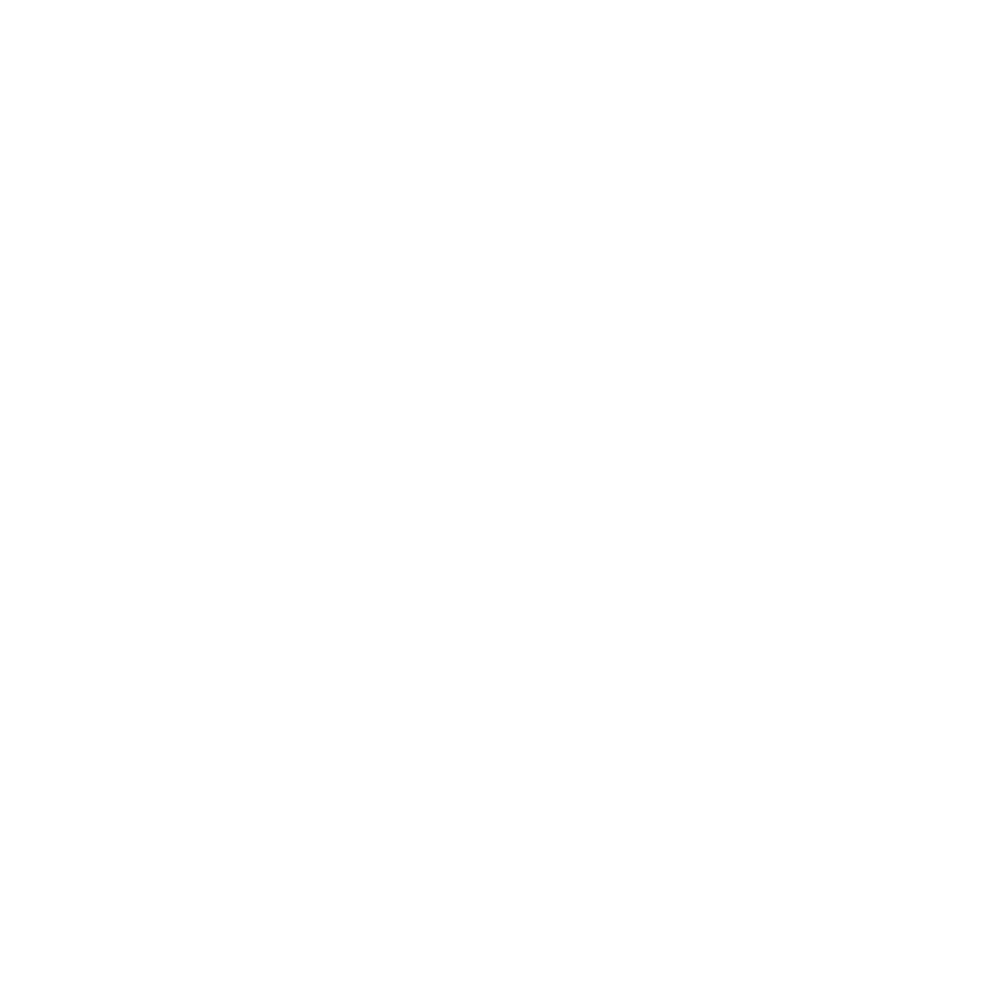 Renet is NO LIMIT